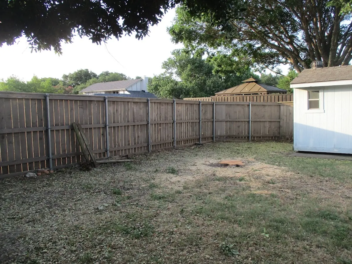 Cleared yard after professional tree removal in Verona